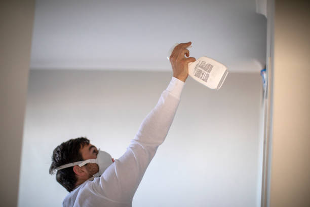 Best Residential Mold Removal  in Westlake, TX
